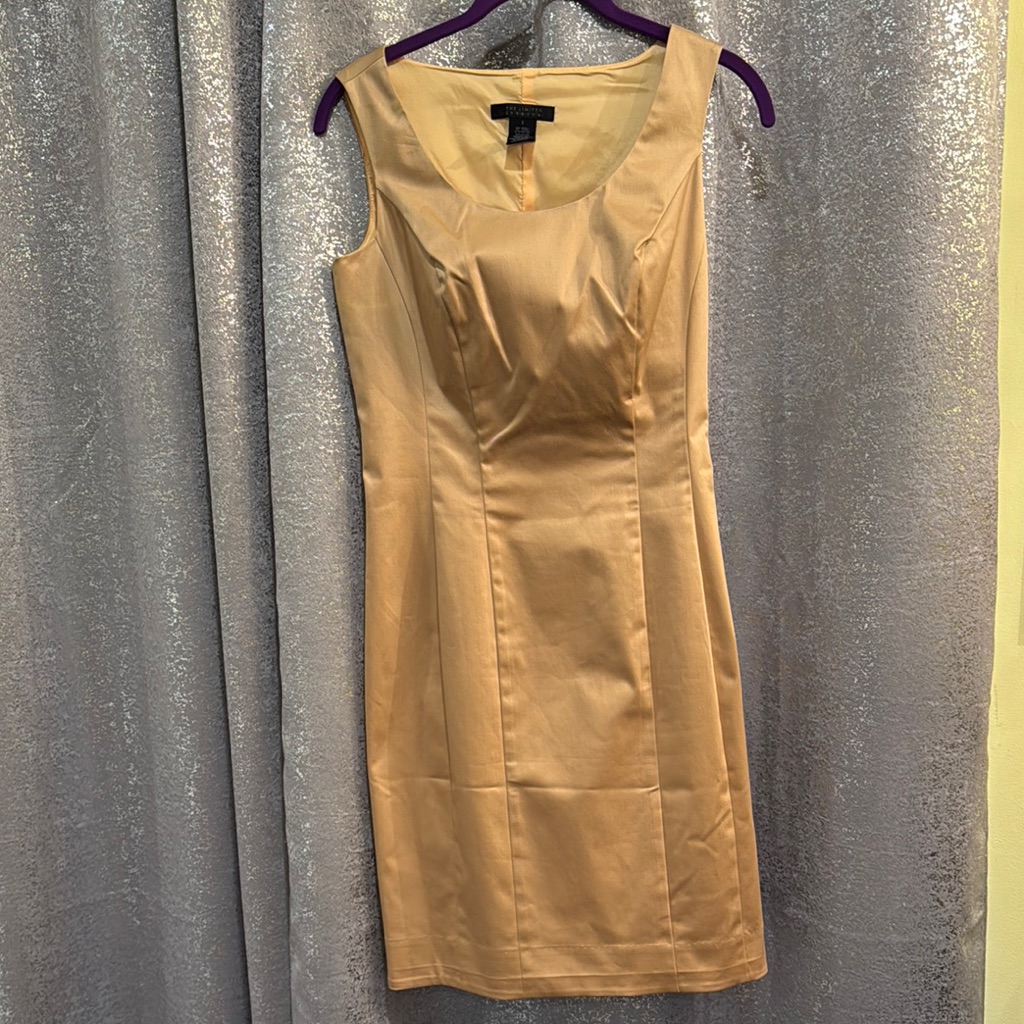 Elegant Tan Sleeveless Dress Stainee For Work Or An Evening Out.Nice & Stretchy